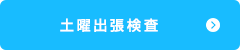 土 日 出 張 検 査